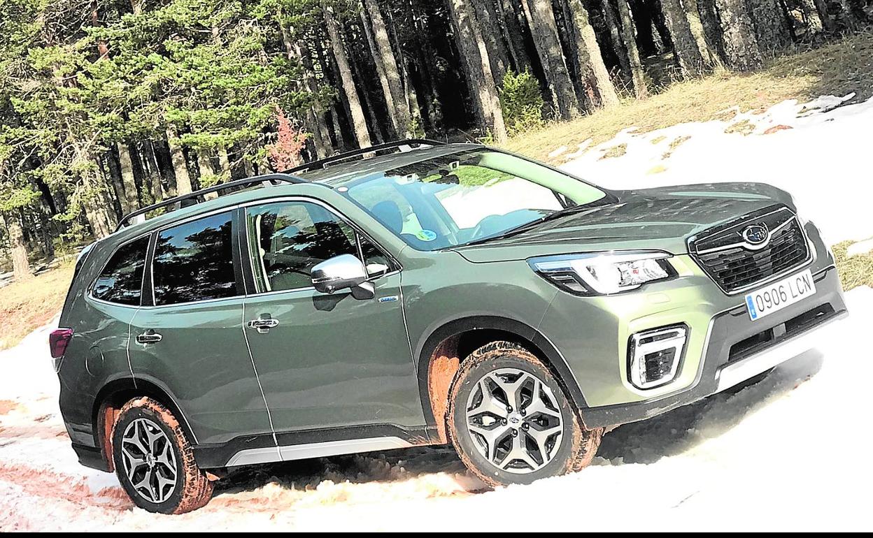 Subaru Forester Eco-Hybrid: Espacio y calidad con etiqueta eco
