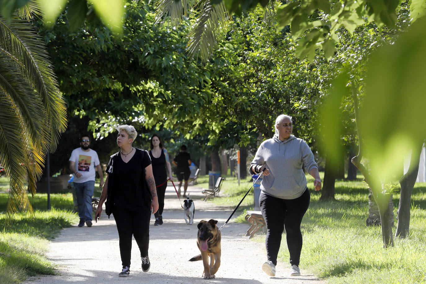 Fotos: Ciclistas, corredores y paseantes llenan de vida Valencia