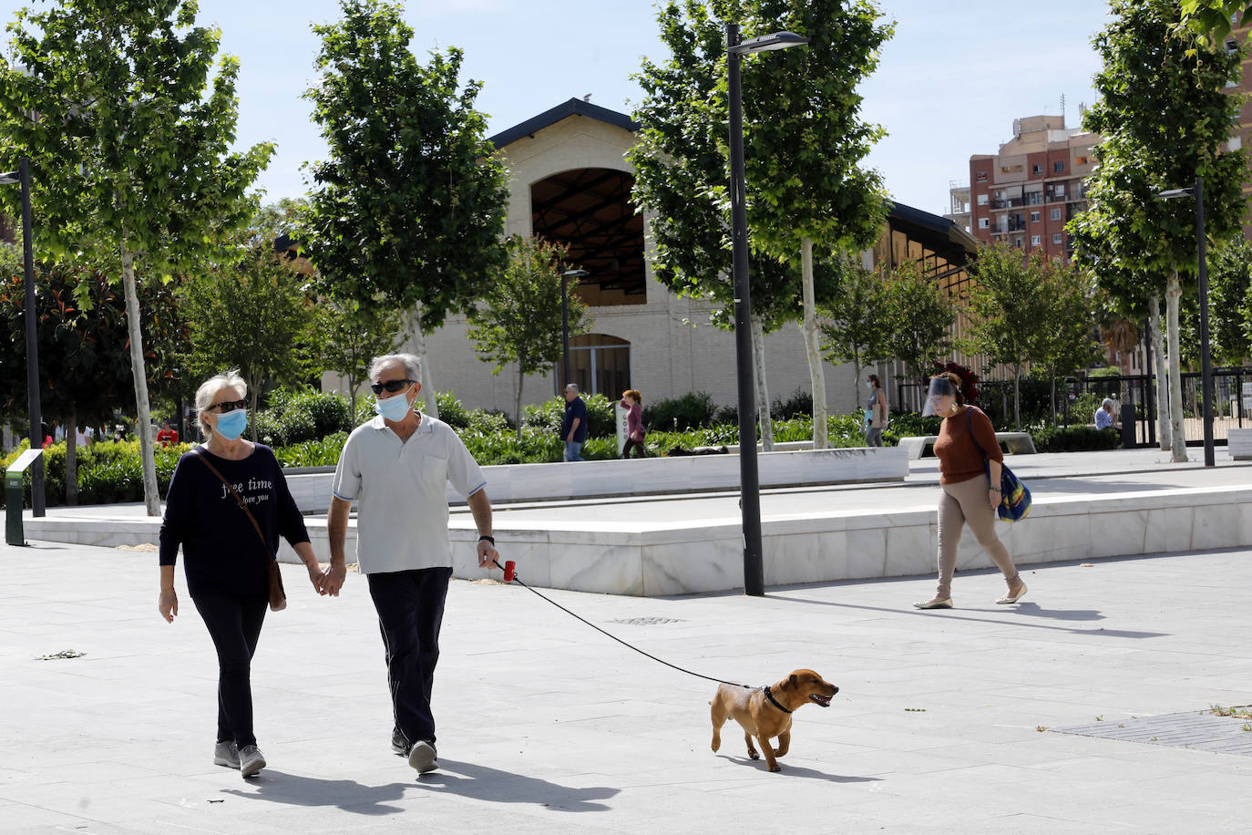 Fotos: Ciclistas, corredores y paseantes llenan de vida Valencia