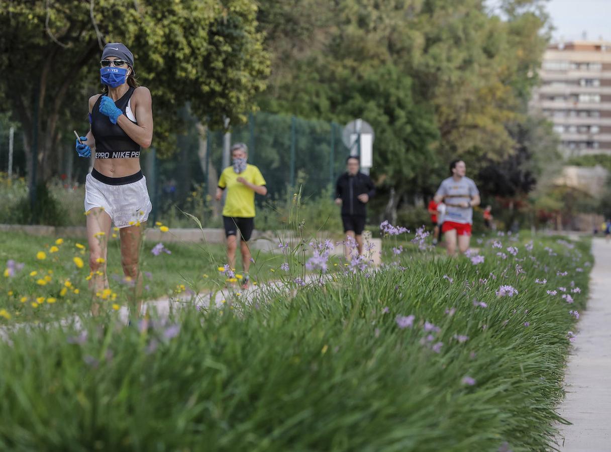 Fotos: Ciclistas, corredores y paseantes llenan de vida Valencia