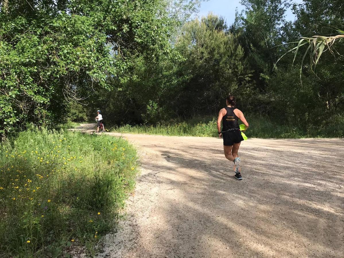 Fotos: Ciclistas, corredores y paseantes llenan de vida Valencia