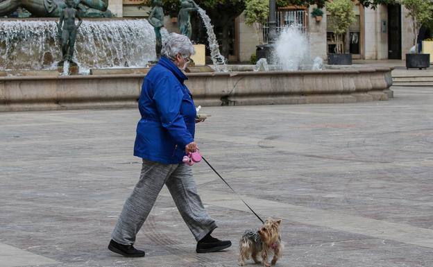 Salidas para pasear a los perros.