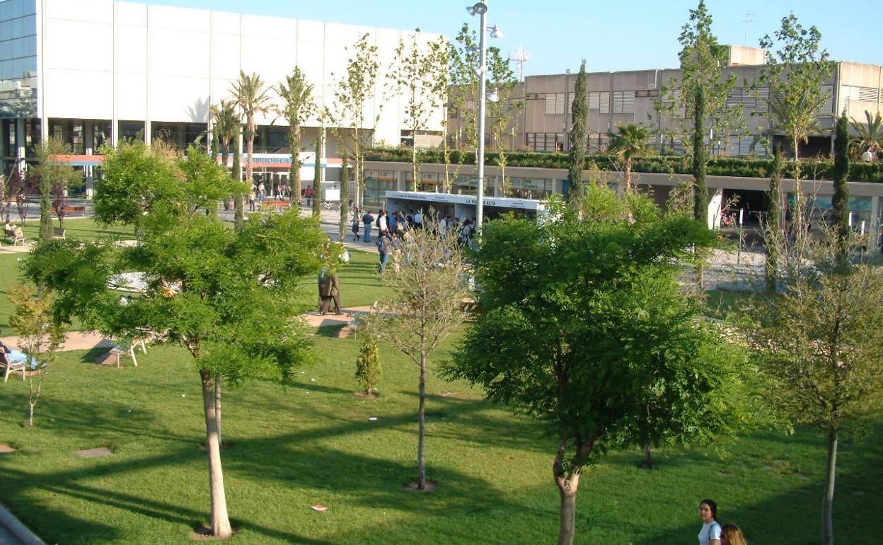 La UPV lanza una campaña de micromecenazgo para ayudar a los estudiantes más afectados por la crisis del Covid-19