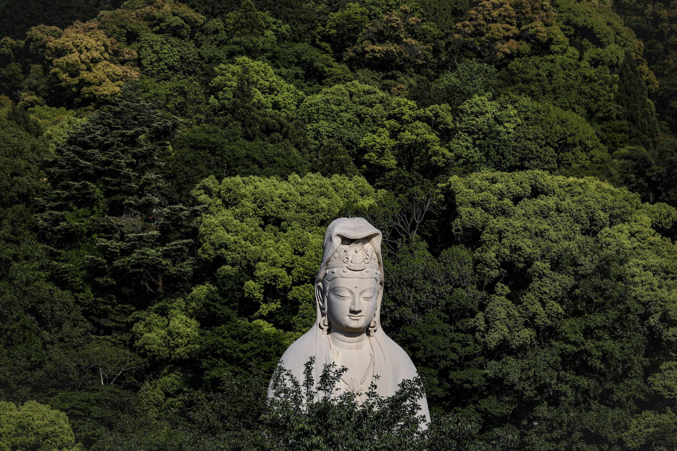 Las calles de la antigua ciudad de Kyoto, en Japón, permanecen desérticas ante la alarma desatada por el coronavirus. Algunos de sus puntos más concurridos, llenos habitualmente de turistas y visitantes, se muestran ahora vacíos, con una quietud en la que destaca aún más la belleza del lugar. 