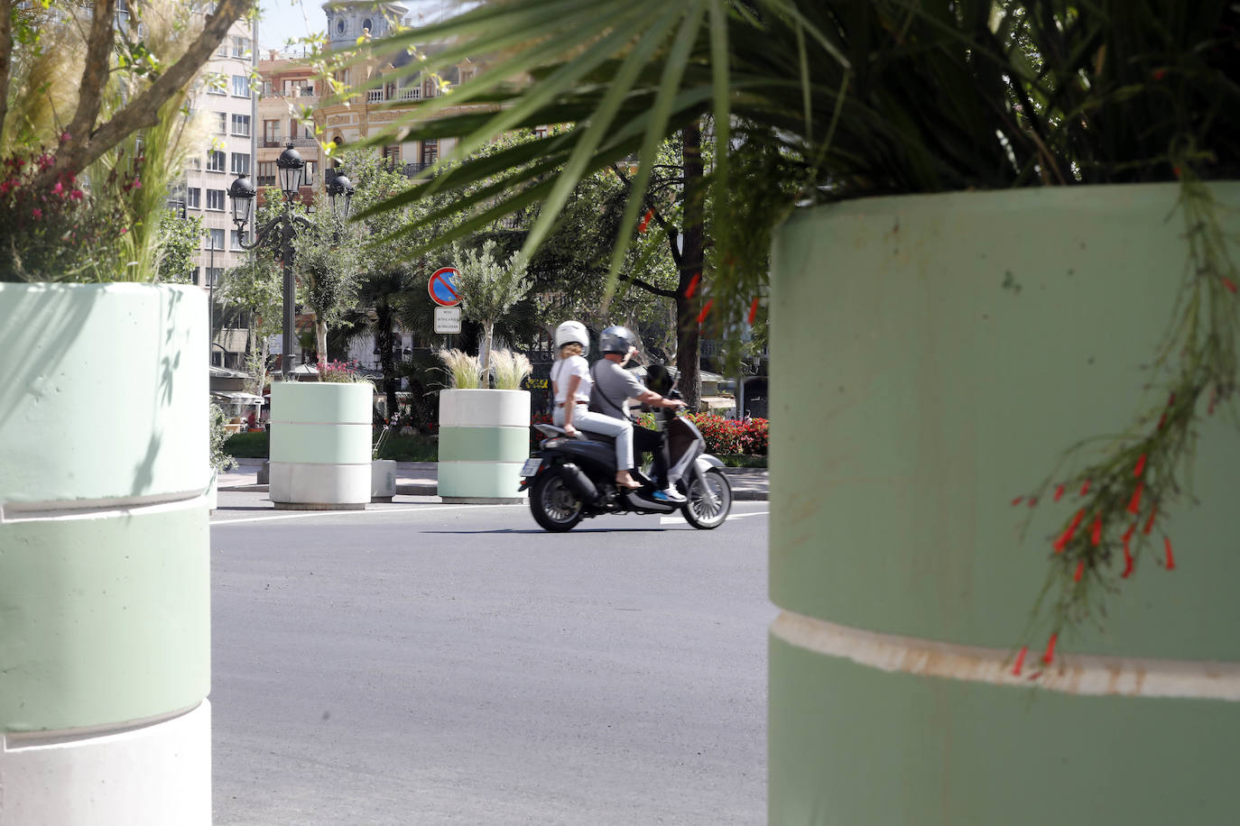 Fotos: Maceteros de la plaza del Ayuntamiento de Valencia