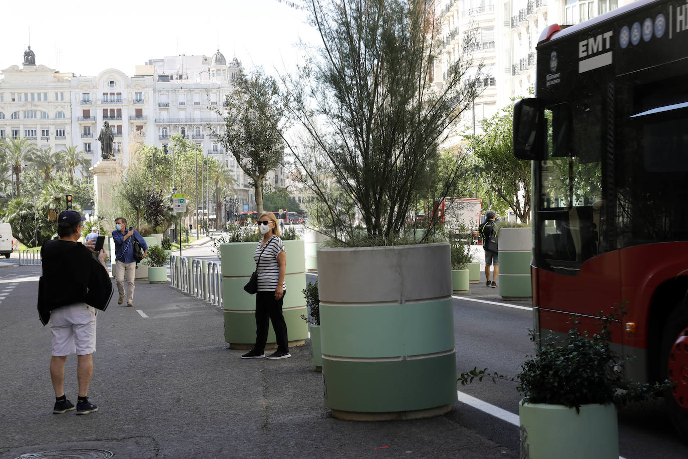 Fotos: Maceteros de la plaza del Ayuntamiento de Valencia