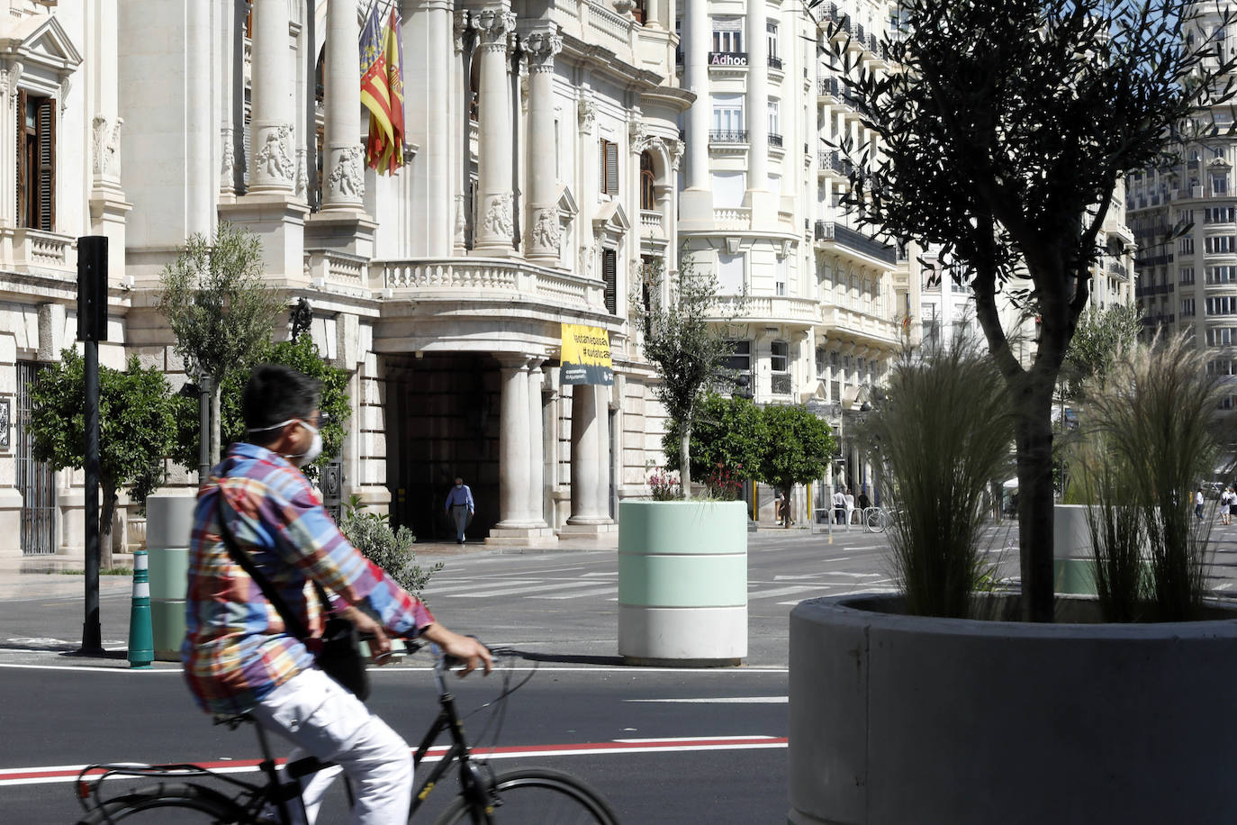 Fotos: Maceteros de la plaza del Ayuntamiento de Valencia