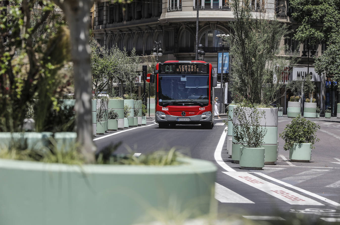 Fotos: Maceteros de la plaza del Ayuntamiento de Valencia