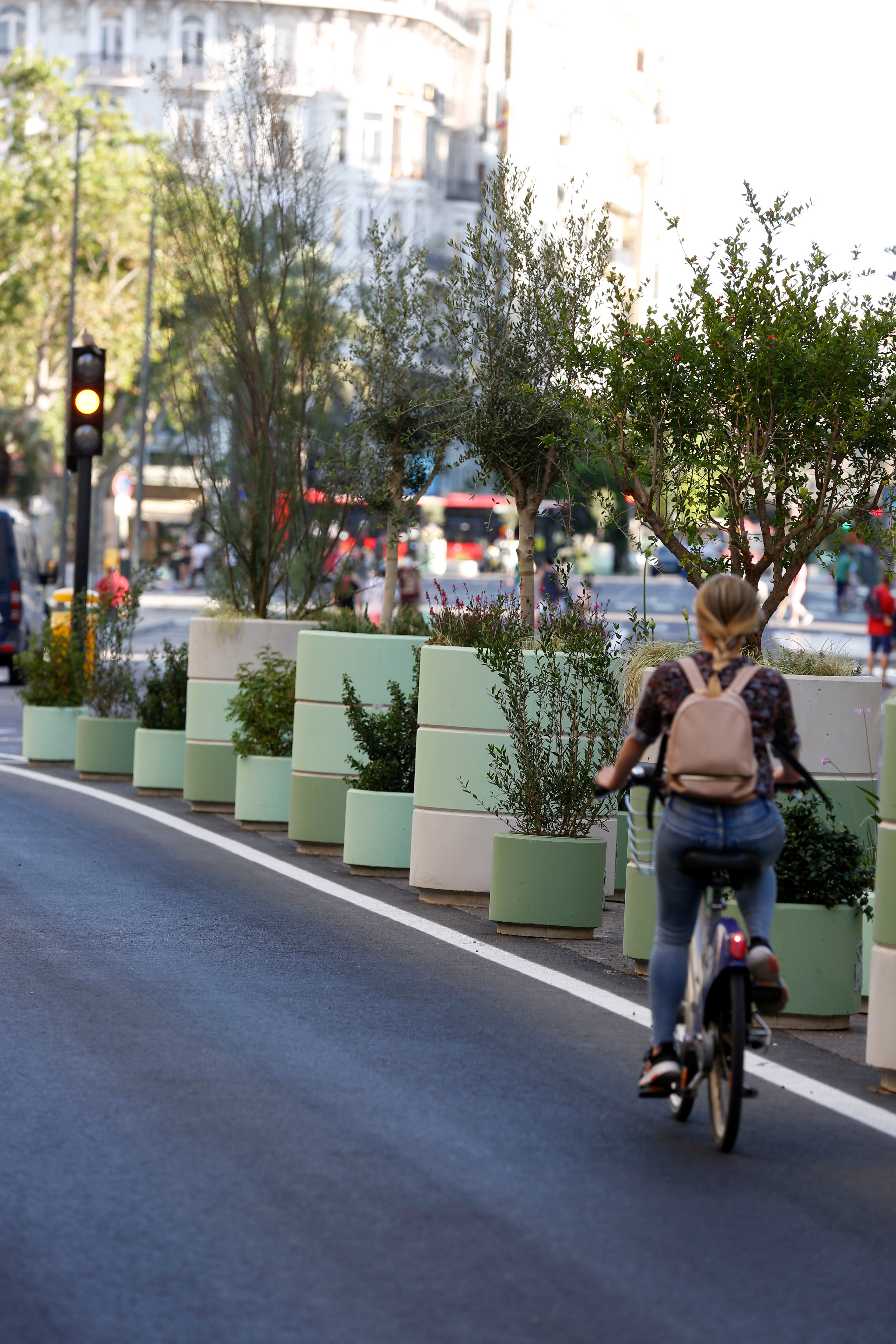 Fotos: Maceteros de la plaza del Ayuntamiento de Valencia