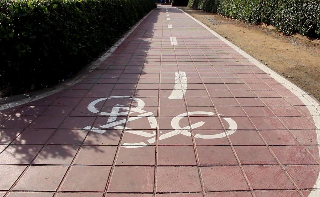 Un tramo del carril bici. 