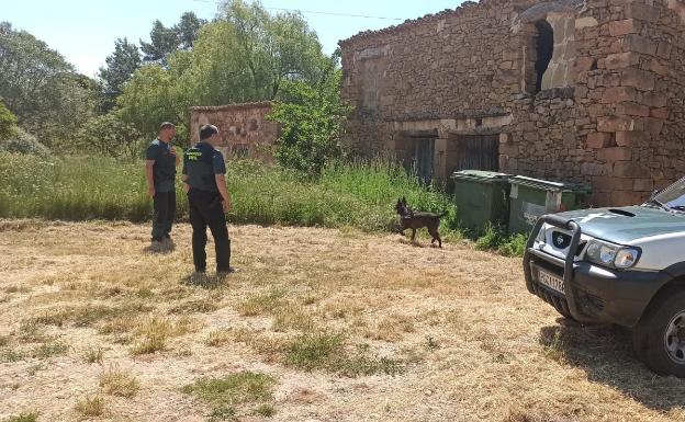 Dos guardias civiles siguen el rastro del ladrón con un perro adiestrado para buscar a personas. 