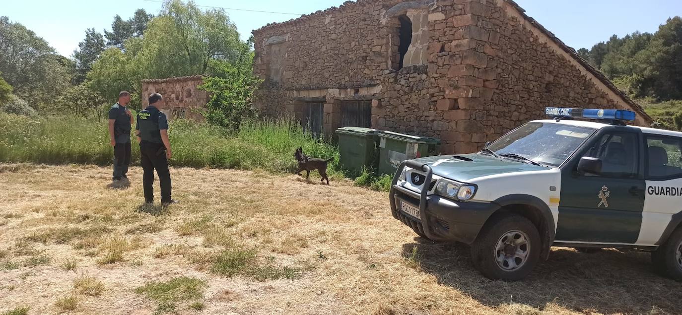 La Guardia Civil de Valencia ha pedido colaboración a los vecinos de los pueblos y aldeas de la comarca de los Serranos para localizar y detener al 'Rambo de Requena'. El operativo de búsqueda del ladrón que mantiene en jaque a los guardias civiles y policías desde hace tres meses se ha reanudado a primera hora de esta mañana. Una decena de patrullas peinan los montes de Chelva, La Sella, Higueruelas, Alpuente, Andilla y Titaguas. 