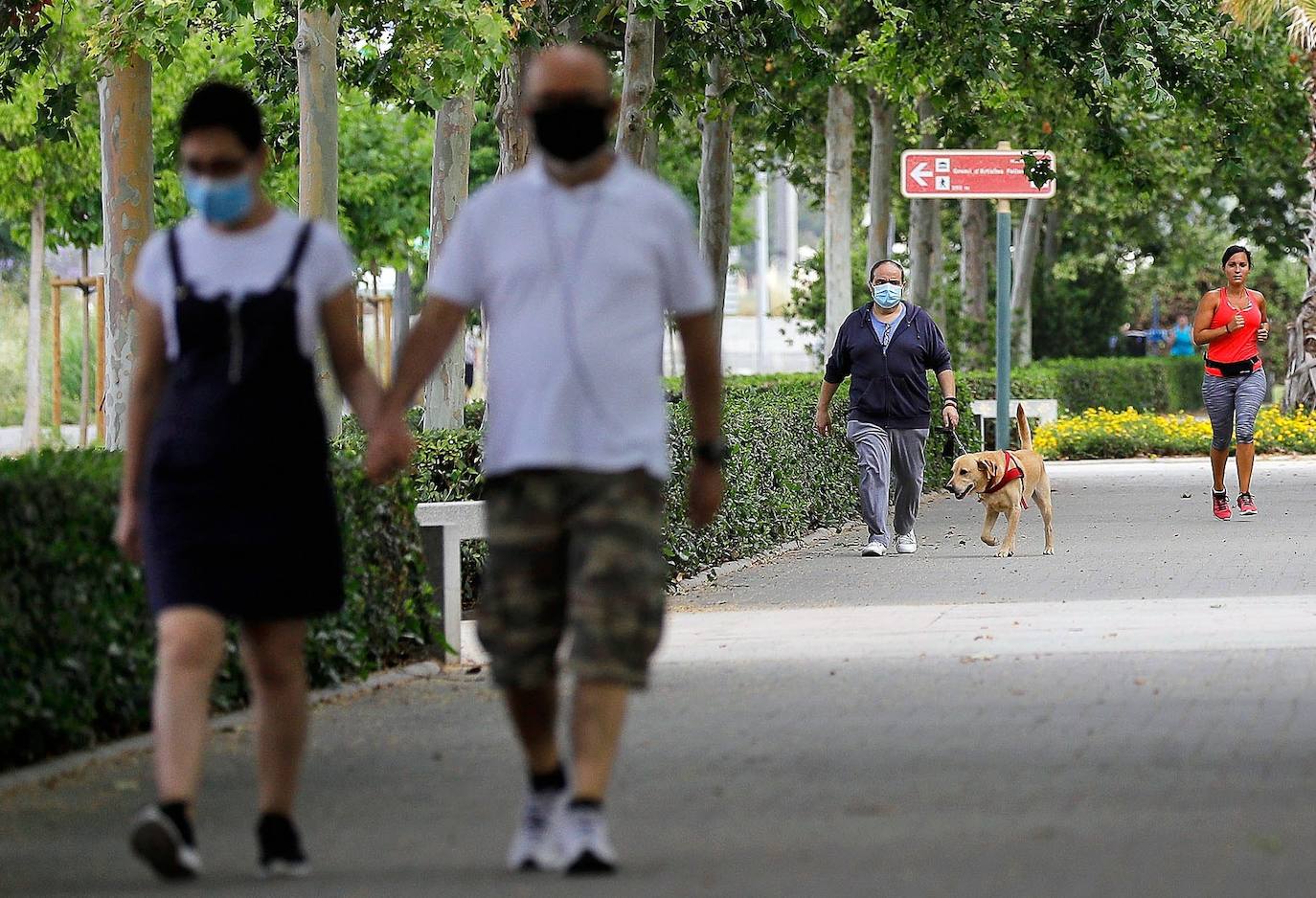 La ciudad de Valencia se prepara y acondiciona sus espacios para pasar a la fase 2 de desescalada a partir del lunes 1 de junio, junto al resto de la Comunitat. La fase 2 refuerza la movilidad a los ciudadanos y reduce las restricciones en la reapertura de numerosas instalaciones y servicios, aunque mantiene algunas restricciones. Los territorios que pasan a la fase 2 de la desescalada podrán abrir cines, teatros y monumentos con un tercio del aforo. Además, el uso de la playa ya se contempla en la fase 2 y se ha flexibilizado mucho la movilidad. 