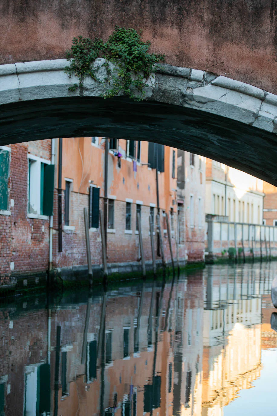 La pandemia del coronavirus dejó imágenes insólitas en una de las capitales turísticas de Europa. Recuperando poco a poco la normalidad, Venecia sigue dejando estampas únicas al atardecer.