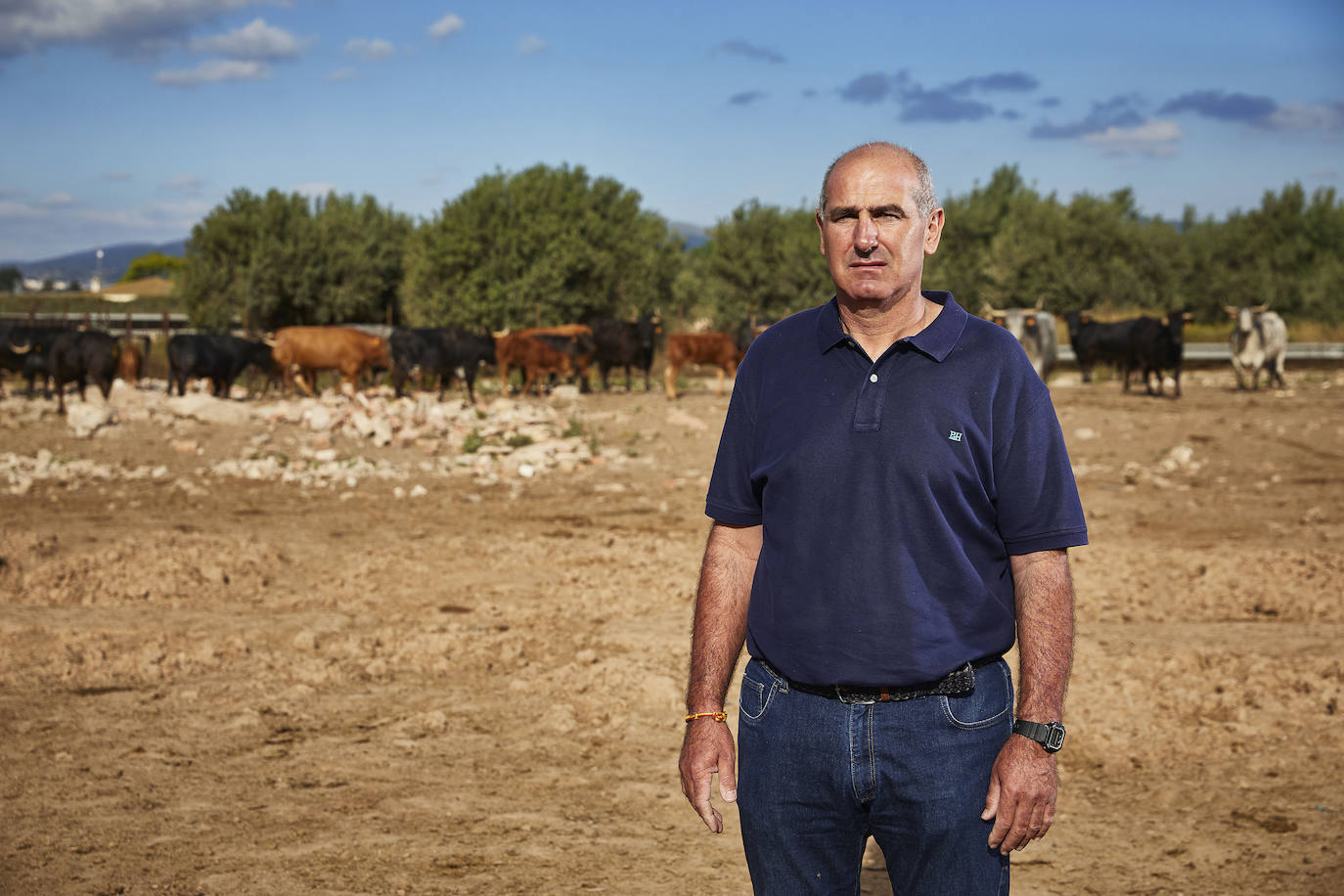 Los ganaderos de reses bravas temen pérdidas de 60 millones ante el parón de los bous al carrer. Mientras, los pescadores soportan una caída de sus ventas a la mitad por el tiempo de cierre de los restaurantes