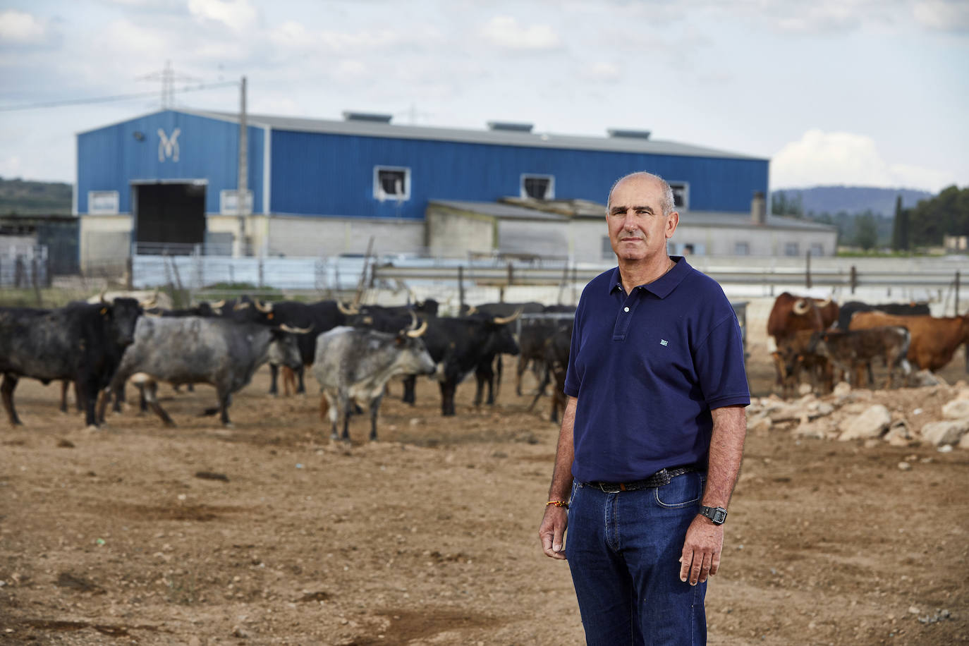 Los ganaderos de reses bravas temen pérdidas de 60 millones ante el parón de los bous al carrer. Mientras, los pescadores soportan una caída de sus ventas a la mitad por el tiempo de cierre de los restaurantes