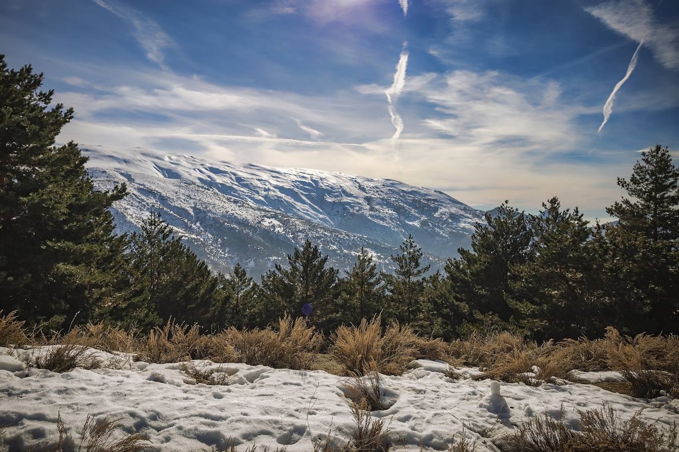 12.- Parque Nacional de Sierra Nevada (Andalucía) | Siemprevivas, dedaleras, tiraña, manzanilla de la sierra, violeta de Sierra Nevada, estrella de las nieves, amapolas de Sierra Nevada y acónitos, forman parte de las más de 2.000 especies vegetales, de gran vistosidad y colorido, que viven en el parque.