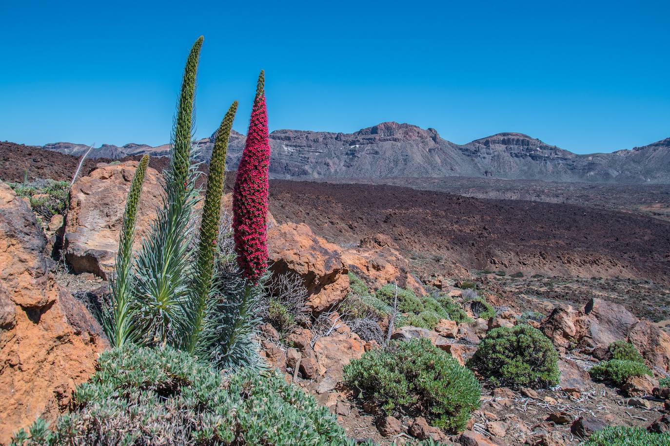 El principal atractivo del parque: el volcán, que con 3.718 metros se corona como la cima más alta de España.