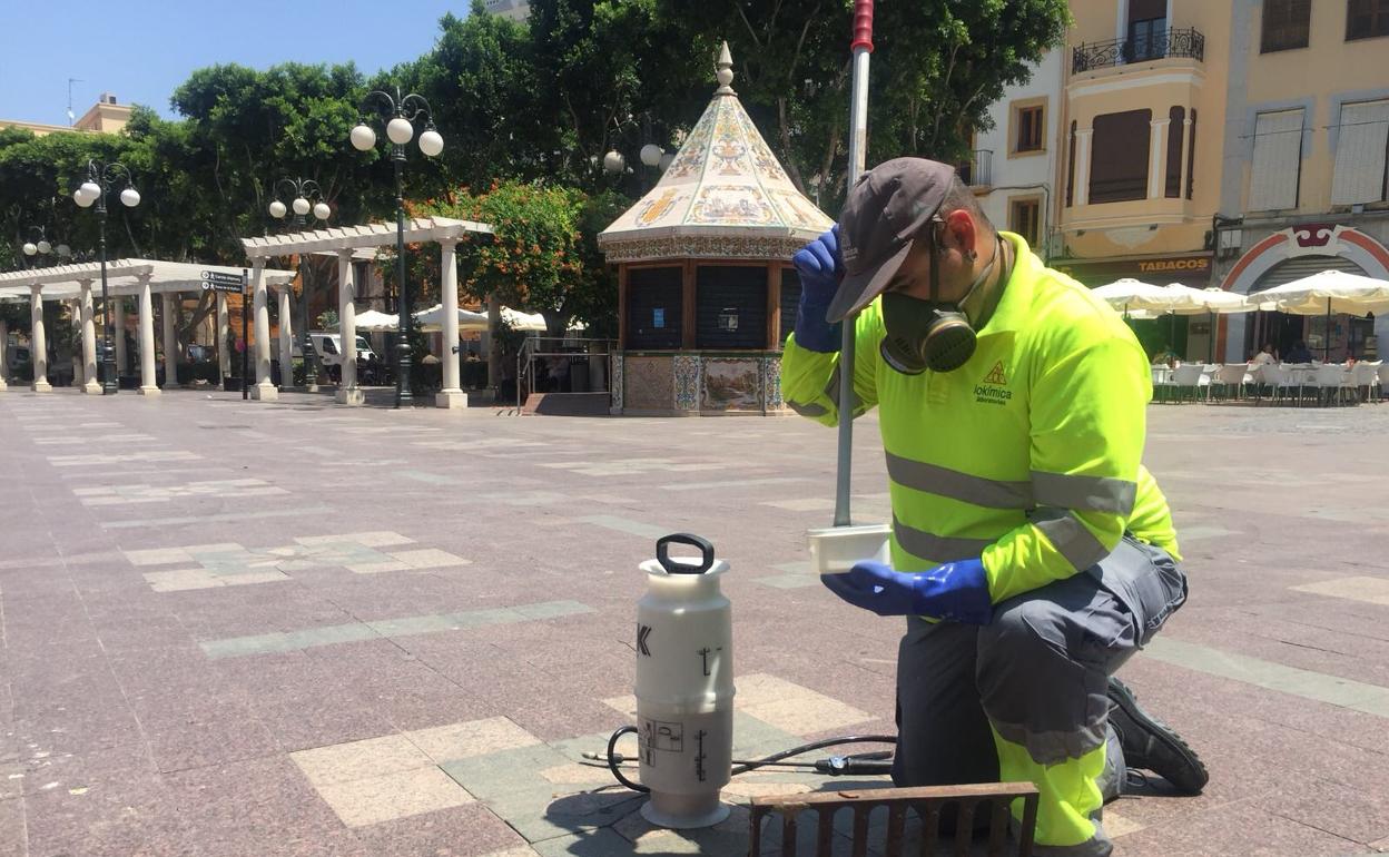 Un operario comprueba en los imbornales la presencia de mosquito tigre. 