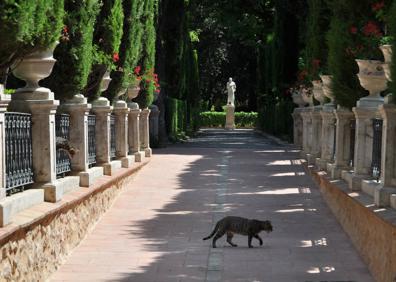 Imagen secundaria 1 - Detalles de los Jardines de Monforte. 