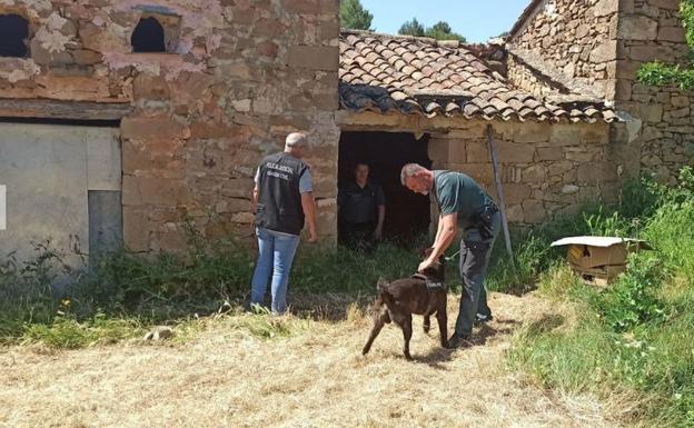 Galería. Operativo de búsqueda de 'El Rambo de Requena'.