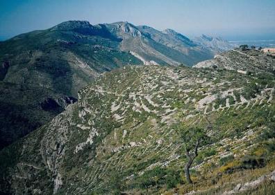 Imagen secundaria 1 - Vistas del entorno natural donde se encuentra el barranco.