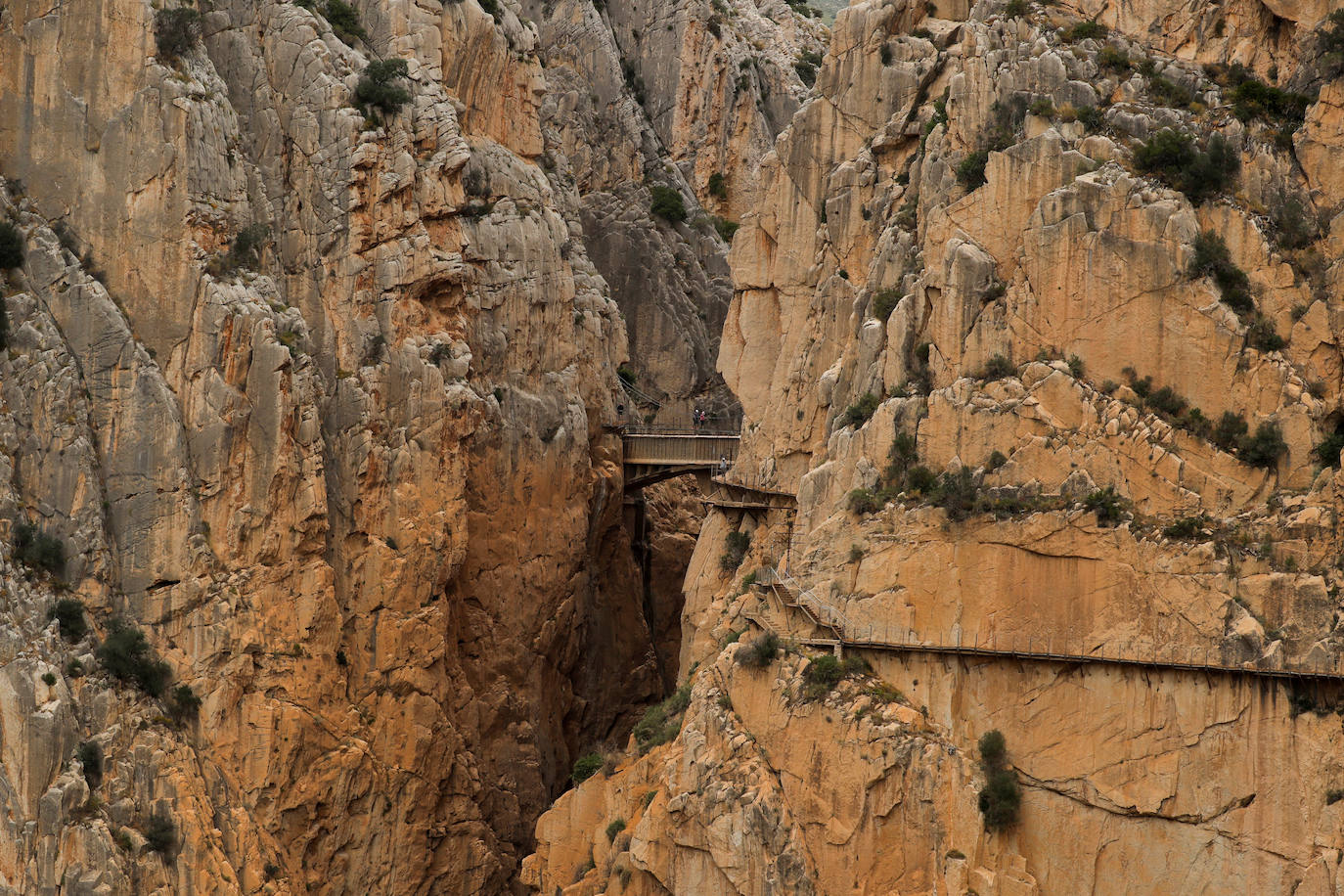 El Caminito del Rey, un sendero con una pasarela colgante de casi tres kilómetros que alcanza 105 metros de altura en el Desfiladero de los Gaitanes (Málaga) ha vuelto a abrir este viernes con 8.000 entradas vendidas, aunque solo podrá acoger a la mitad de su aforo habitual -550 personas diarias- por la crisis sanitaria del COVID-19. El Caminito del Rey fue incluido en el top five de destinos «apasionantes» por la prestigiosa guía Lonely Planet. El periódico The Guardian lo definió como «un entorno que le dejará sin respiración». 