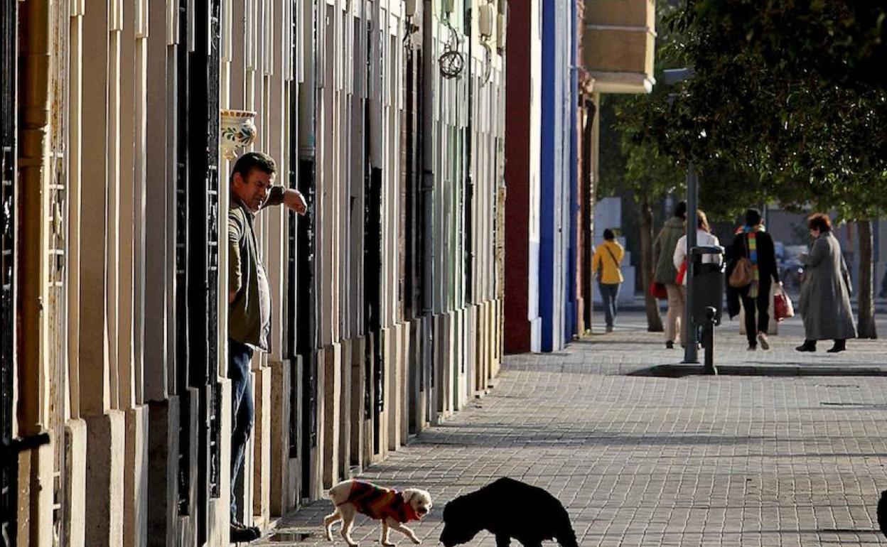 Un tramo de la calle Eugenia Viñes. 