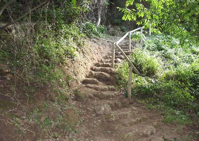 Imagen secundaria 1 - Sendero y acceso a la cueva. 