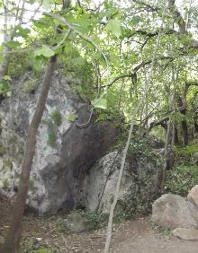 Imagen secundaria 2 - Sendero y acceso a la cueva. 