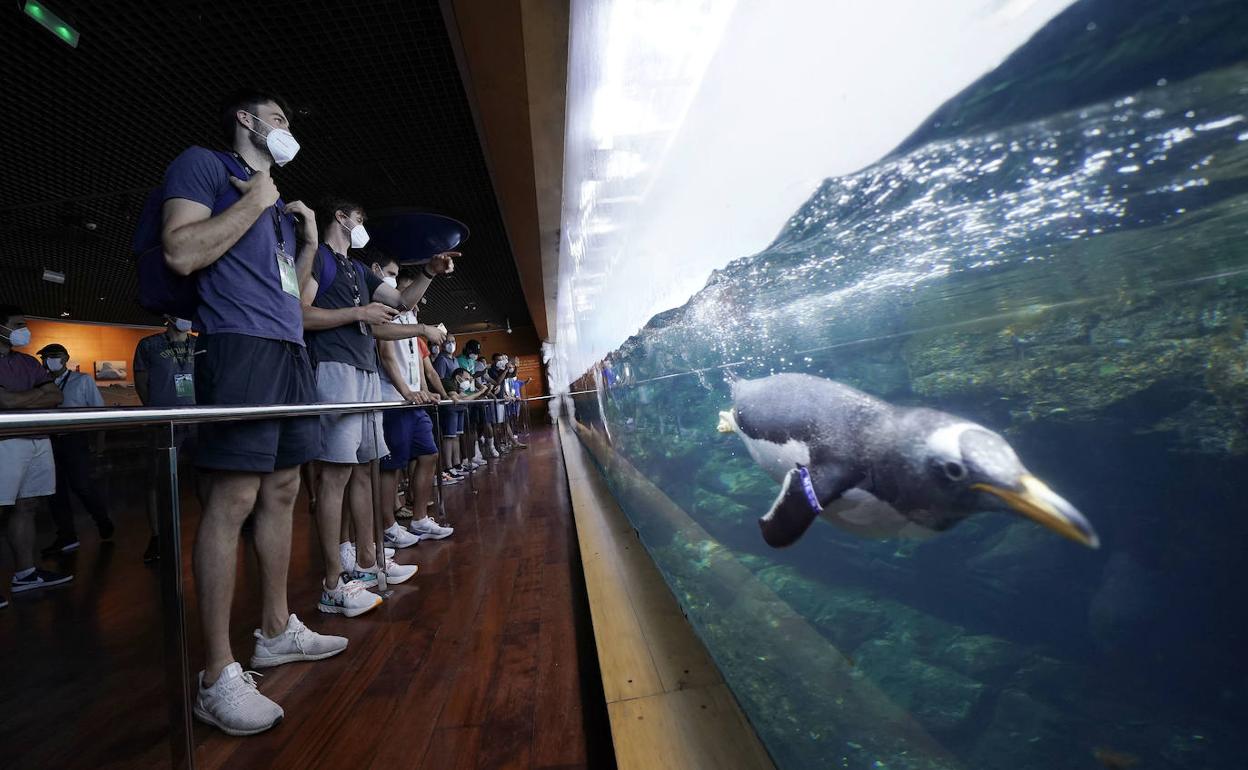 Jugadores, durante la inauguración de la Fase Final de la ACB en el Oceanogràfic. 