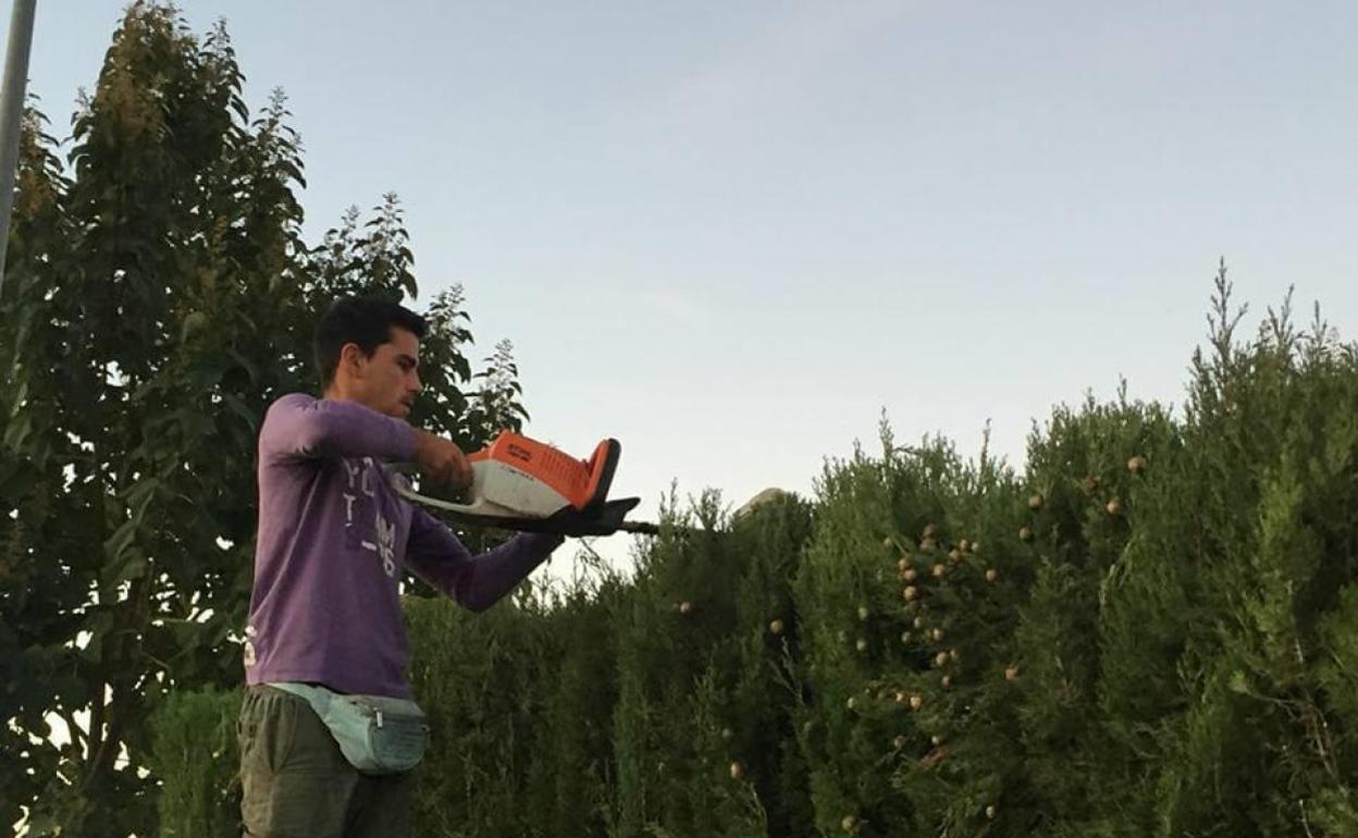 Tareas agrícolas que se realizan durante el verano. 