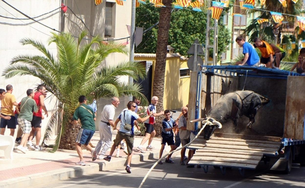 Los vecinos de Vallada no podrán disfrutar de actividades como el toro  de cuerda de las fiestas patronales. 