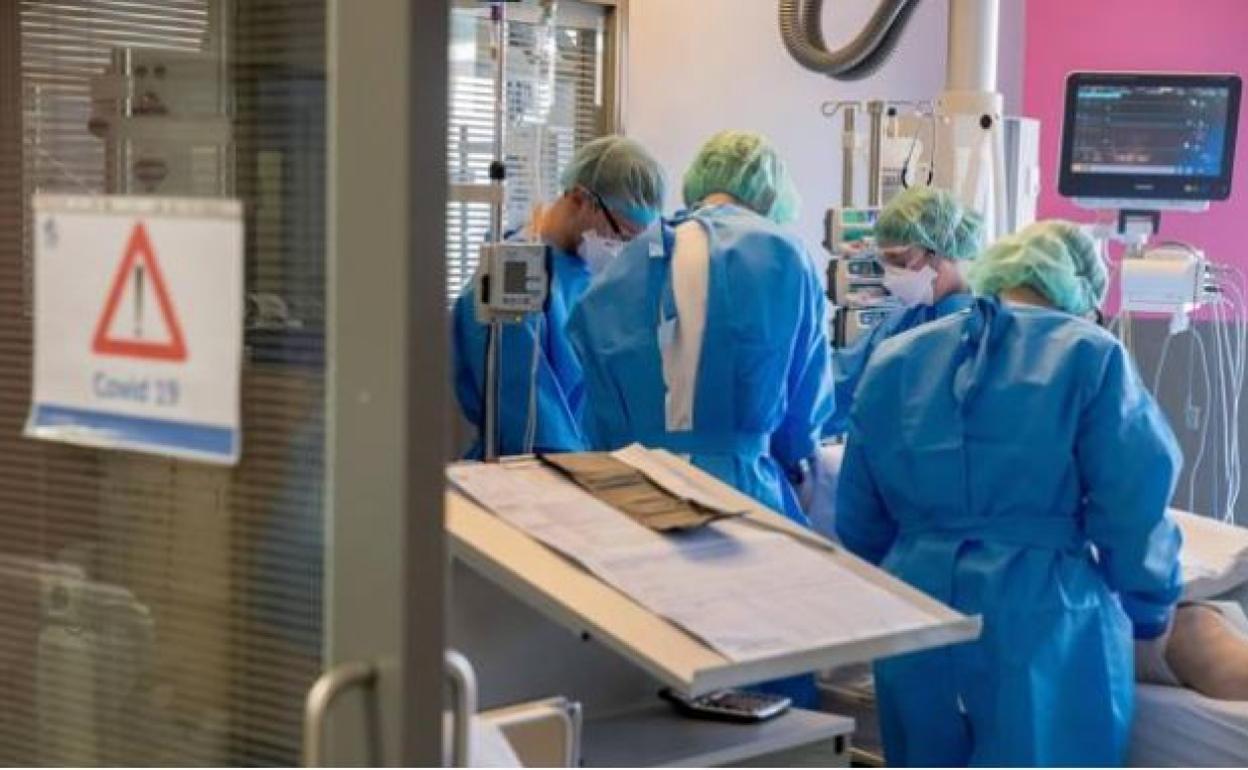 Última hora coronavirus | 7 muertes y 134 contagios por coronavirus en España en 24 horas