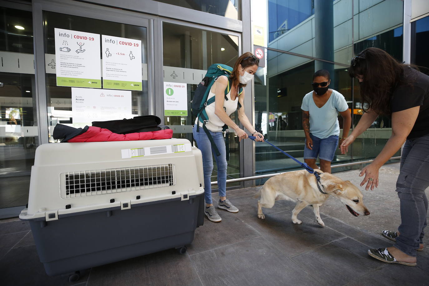 El aeropuerto de Valencia ha comenzado a operar con cierta normalidad tras la apertura de las fronteras dentro de los países Schengen. 