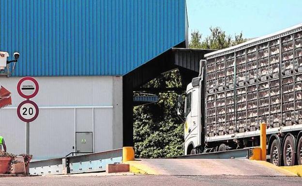 Un caminón entra en una empresa cárnica. 