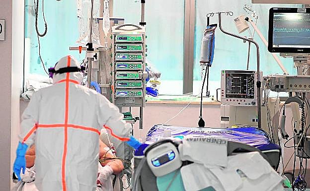 Personal sanitario atiende a un paciente infectado por Covid-19 en el hospital La Fe.