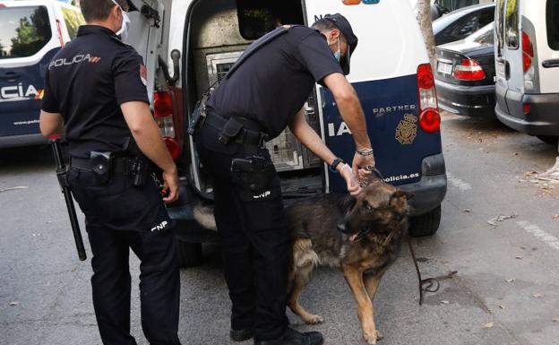 Empotra la bicicleta contra un coche, le rompe la dentadura al conductor, agrede a un policía y se niega a llevar mascarilla o someterse a la prueba de alcoholemia