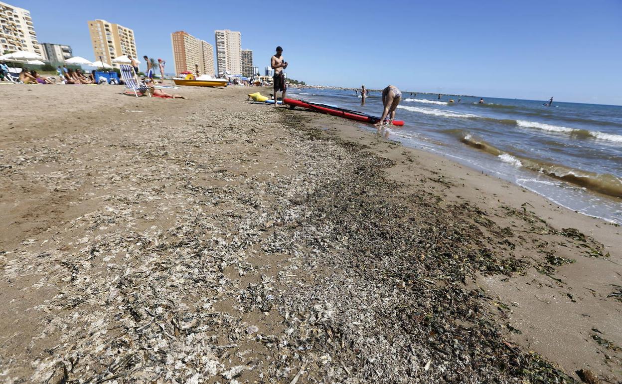 Playas de Valencia y Alicante | Seis banderas negras por contaminación ...