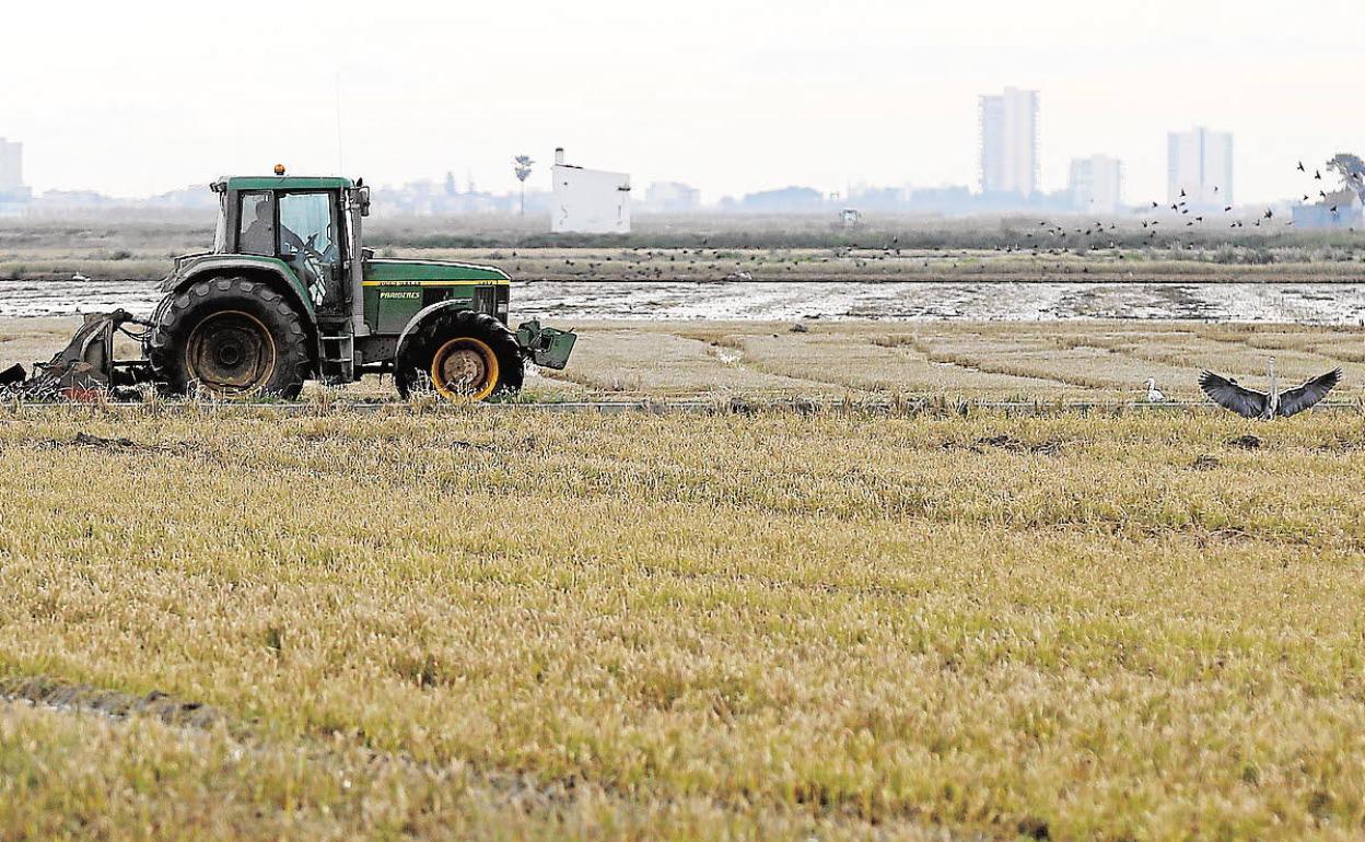 Tractor en Valencia