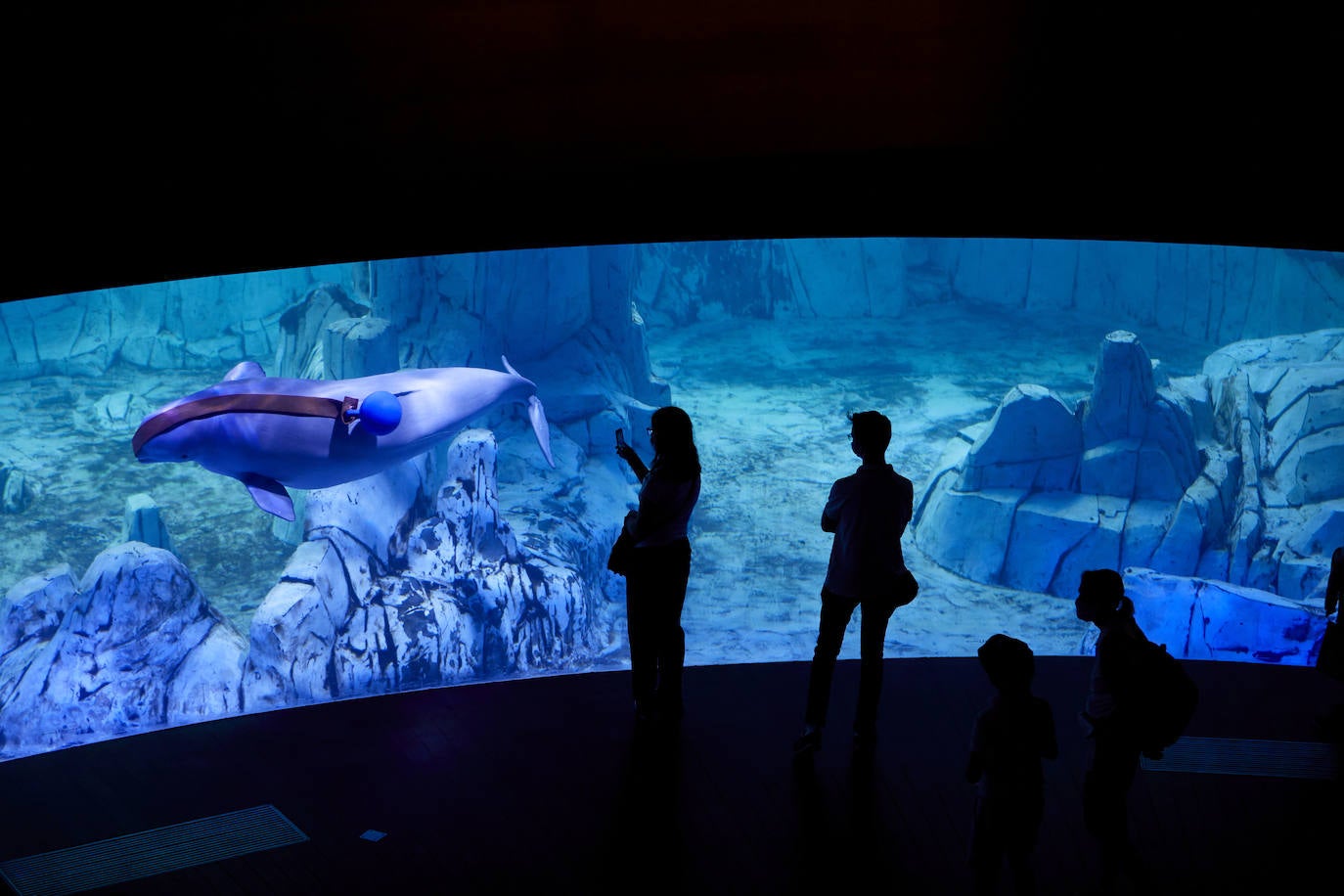 El Oceanogràfic de Valencia ha reabierto este miércoles al público después de estar 110 días cerrado por la pandemia del coronavirus, y lo ha hecho con un preventa de casi mil entradas y confiando en que las circunstancias permitan «rescatar, poco a poco, el brillo y la importancia» que tiene este parque para la Ciudad de las Artes y las Ciencias. 