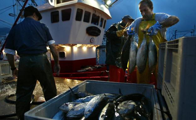 Intervienen 15 bonitos pescados de forma ilegal que iban a venderse a un restaurante 