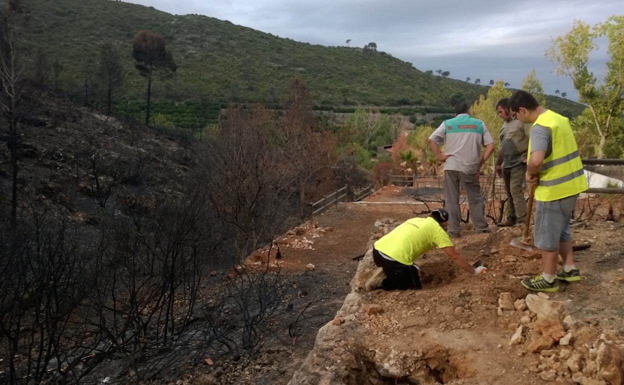 Trabajadores durante el verano pasado. 