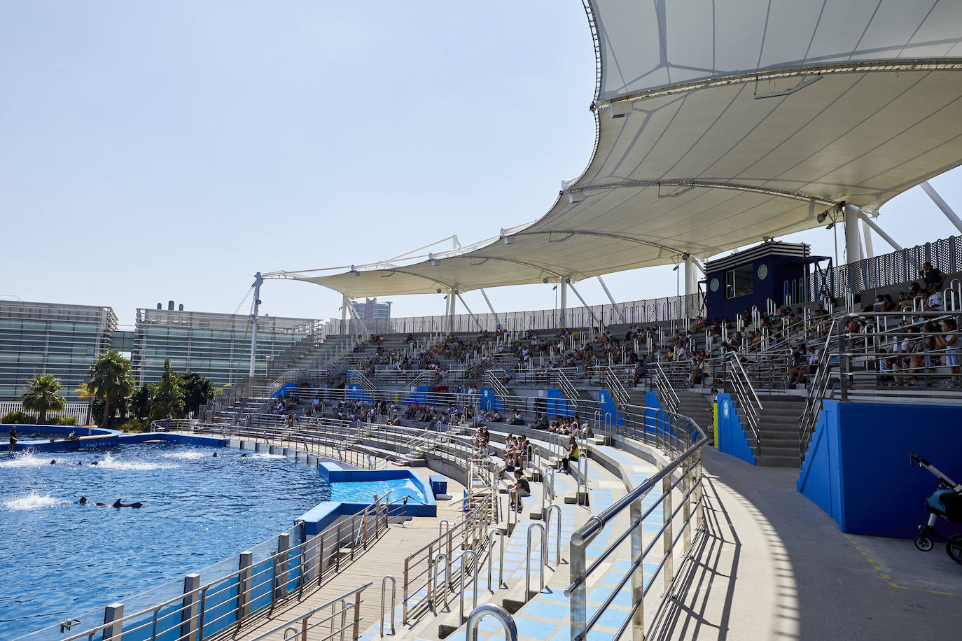 El Oceanogràfic de Valencia ha reabierto este miércoles al público después de estar 110 días cerrado por la pandemia del coronavirus. Desde el parque han explicado que se han tomado todas las medidas higiénico sanitarias para garantizar una visita segura. El parque dispone de 80.000 metros cuadrados de superficie y en espacios abiertos y guardando la distancia, los visitantes pueden ir sin mascarilla, que es obligatoria en espacios cerrados. El Oceanogràfic mantendrá todas las actividades que realiza normalmente, y seguirá abierto el delfinario y el cine 4D, donde los grupos familiares se podrán sentar juntos pero distantes de los siguientes, aunque se suspenderán los espectáculos nocturnos. 