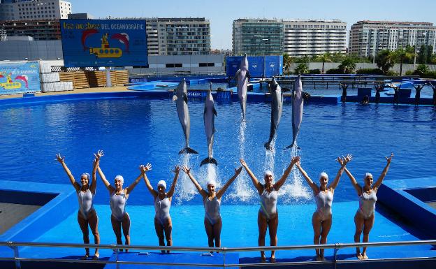 El Oceanogràfic celebra su reapertura.