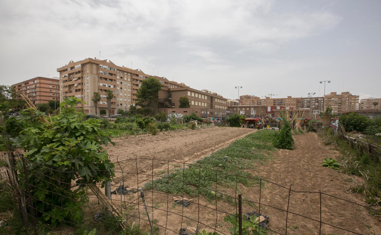 Zona de huerta en Benimaclet. 