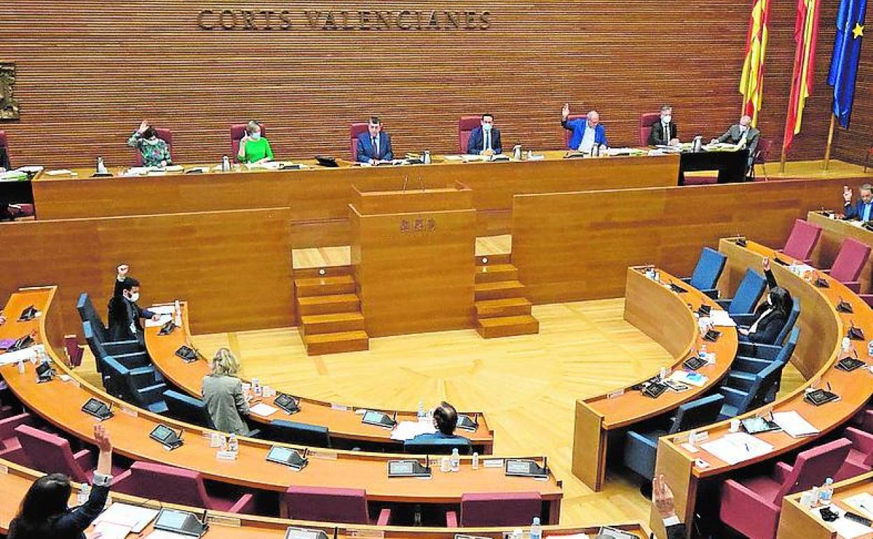 El Botánico evita el desgaste político de Ana Barceló en Les Corts