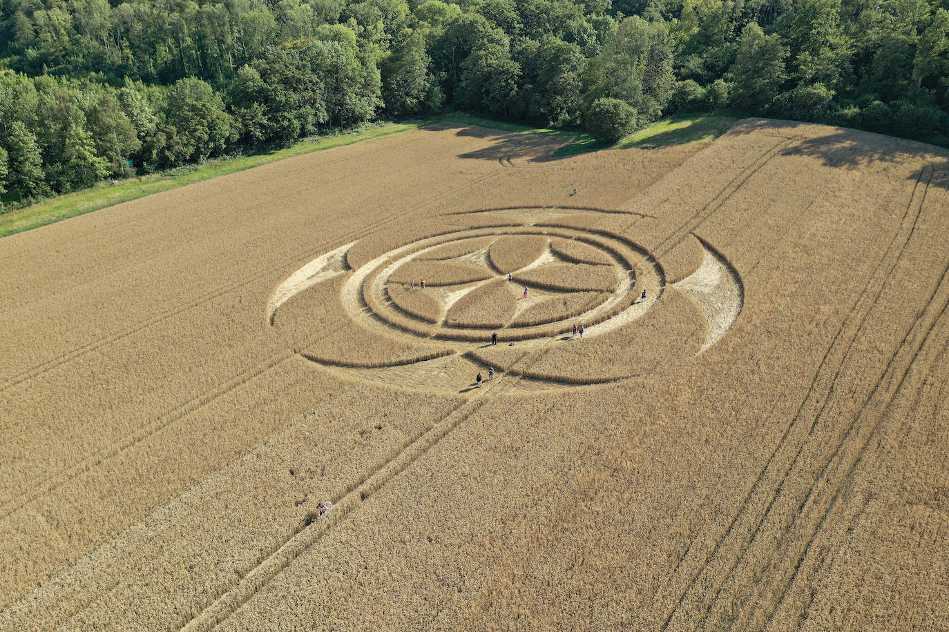 Fotos: Aparece una gigantesca señal templaria sobre un campo en el norte de Francia