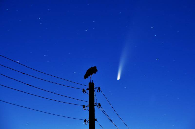 Fotos: Fotos del paso del cometa Neowise, que se puede ver a simple vista