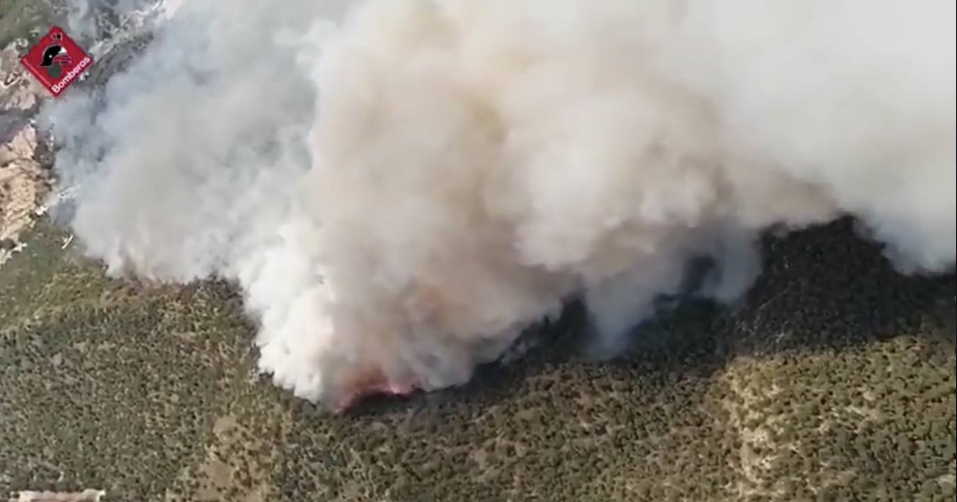 Varias dotaciones de bomberos trabajan para extinguir el fuego que afecta a la localidad alicantina.